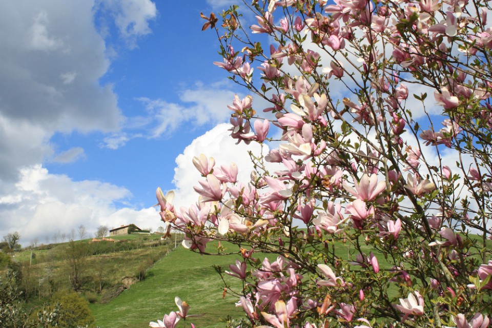 Aramaio. Argazkia: Konsuelo Errasti