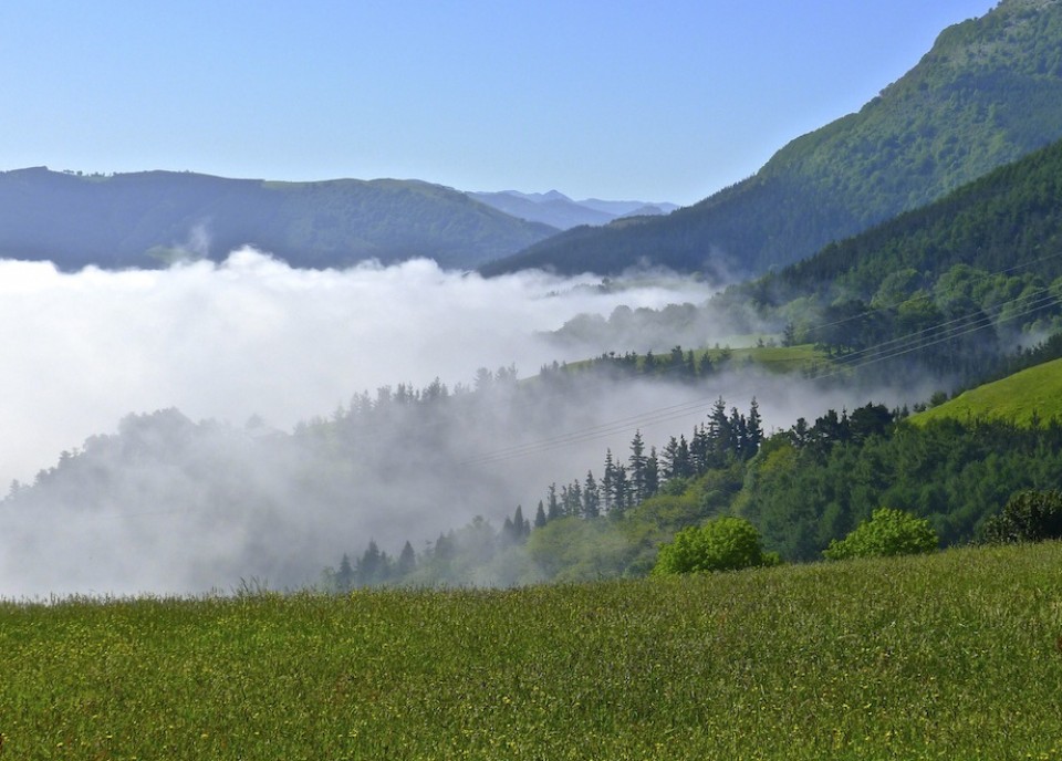 Zarautz. Argazkia: Lorentxo Portularrume Azcue