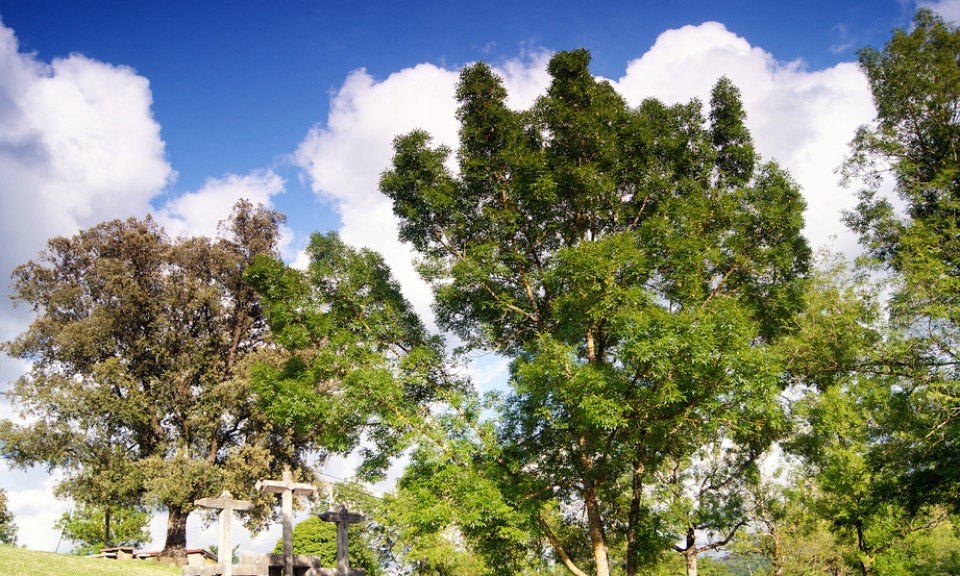 Artziniega. Argazkia: Alberto Zorrilla