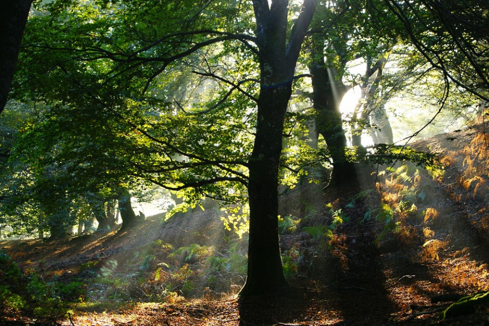 Baztan. Argazkia: Bego Arizmendi