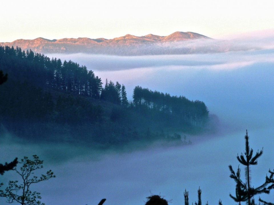 Zumarraga. Argazkia: Lorentxo Portularrume