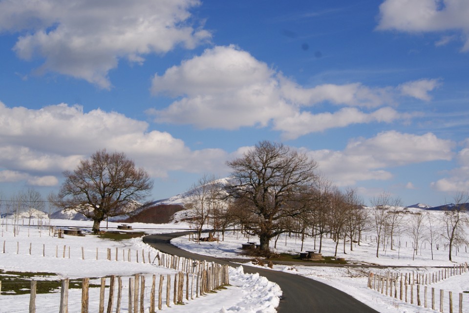 Baztan. Argazkia: Bego Arizmendi