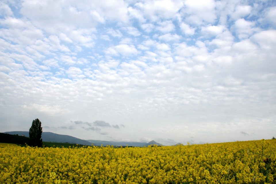 Berrioplano. Argazkia: Isidoro Francisco Arbizu
