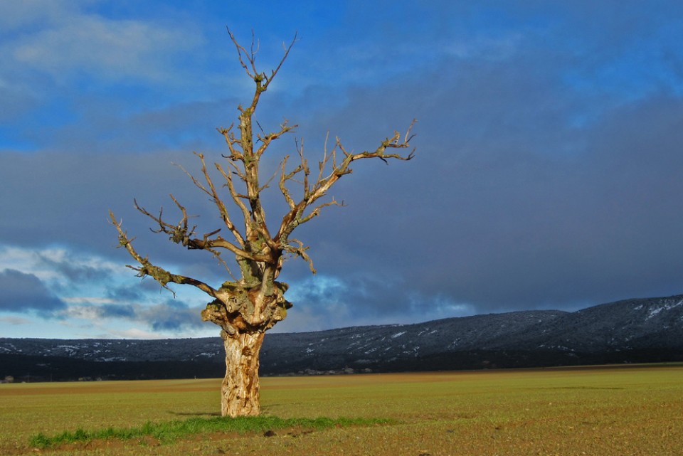 Gasteiz. Argazkia: Jose Antonio Ortiz de Zarate