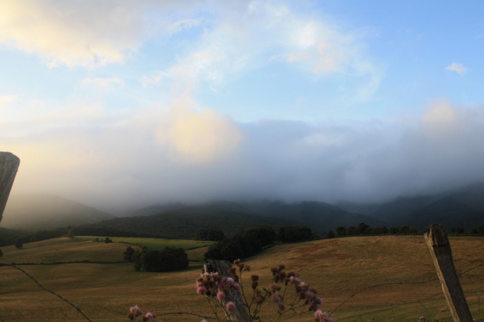 Bergara. Argazkia: Konsuelo Errasti