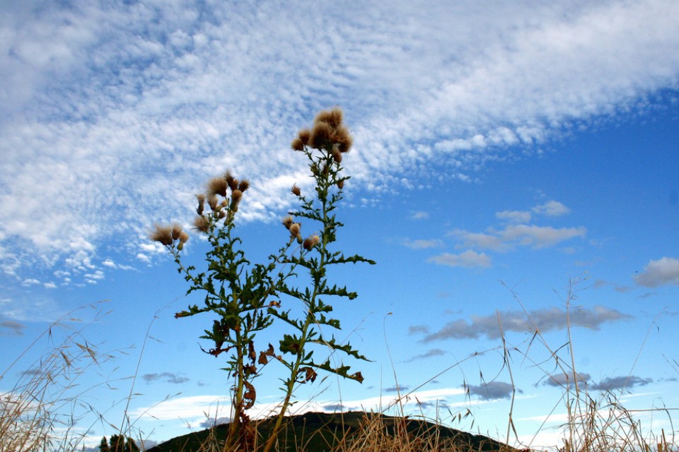 Berriozar. Argazkia: Isidoro Francisco Arbizu