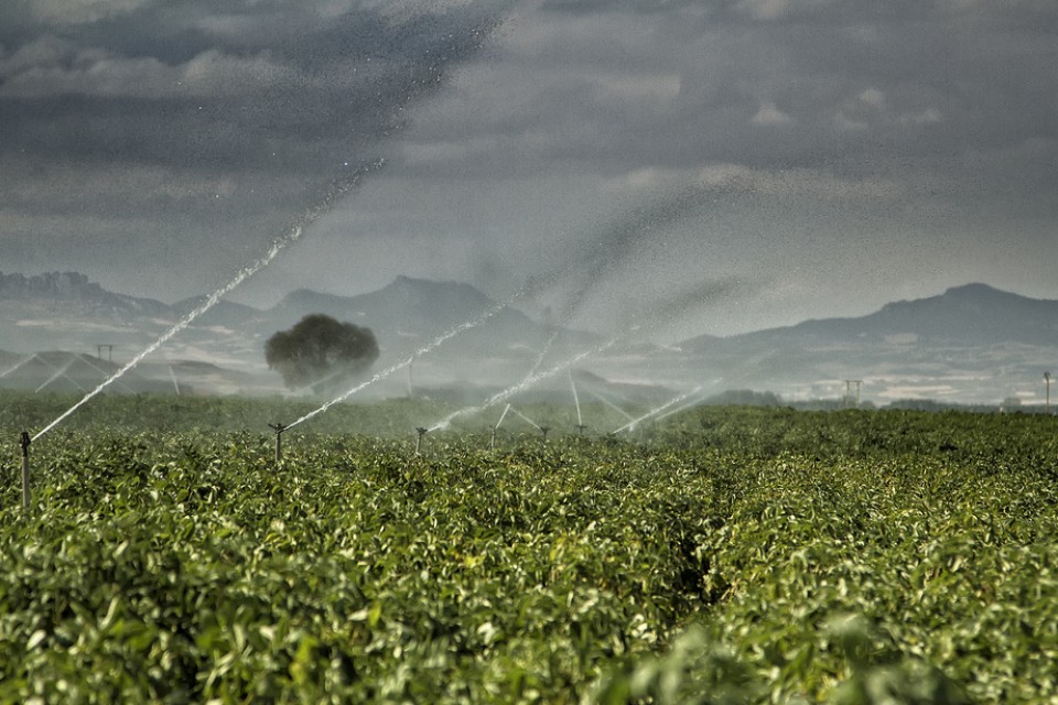 Bañares (Errioxa). Argazkia: Juan Luis Elizaran