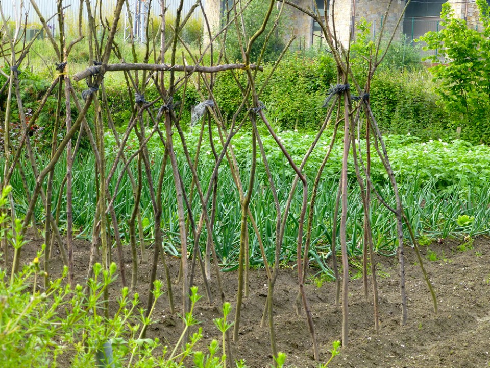 Durango. Argazkia: Victor Uriarte