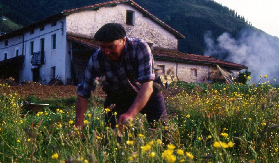 Elgoibar. Argazkia: Vicente Guinea 