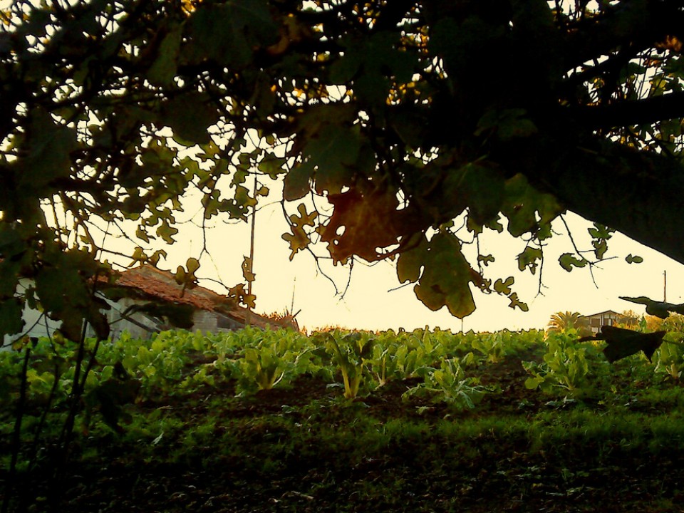 Getxo. Argazkia: Marcos Ferre