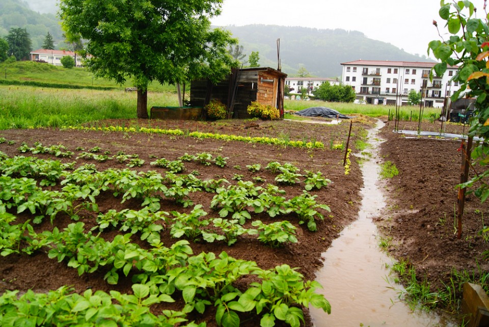 Argazkia: Bego Arizmendi