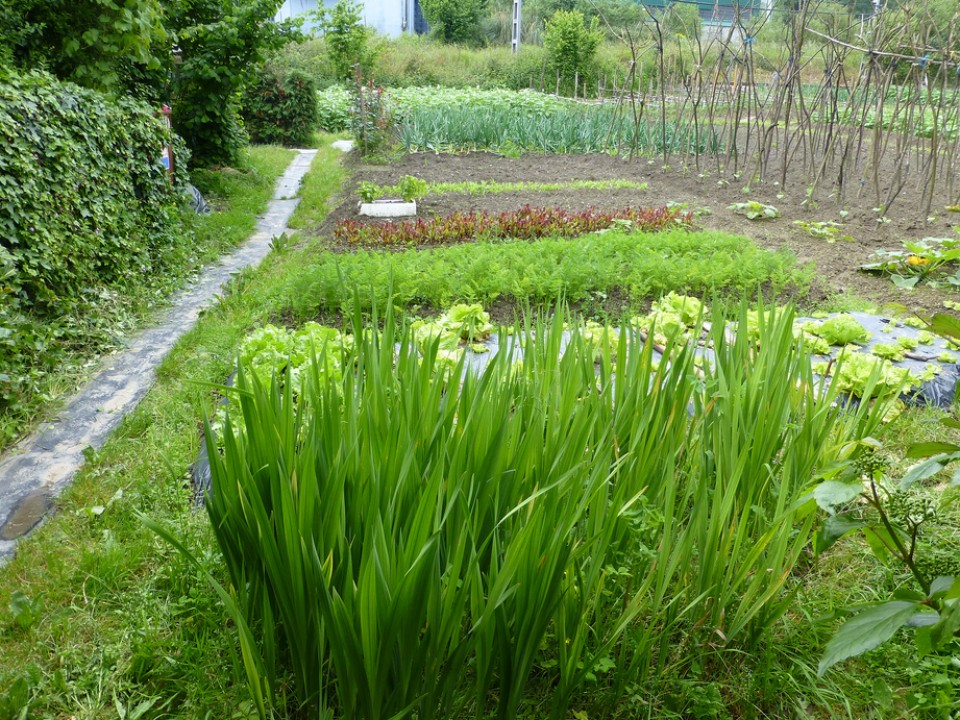 Durango. Argazkia: Victor Uriarte