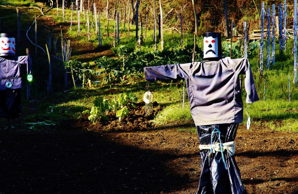 Elgoibar. Argazkia: Vicente Guinea