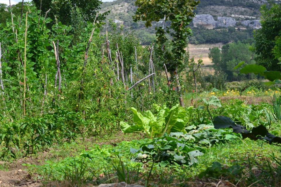 Escaño (Burgos). Argazkia: Zuria Alonso