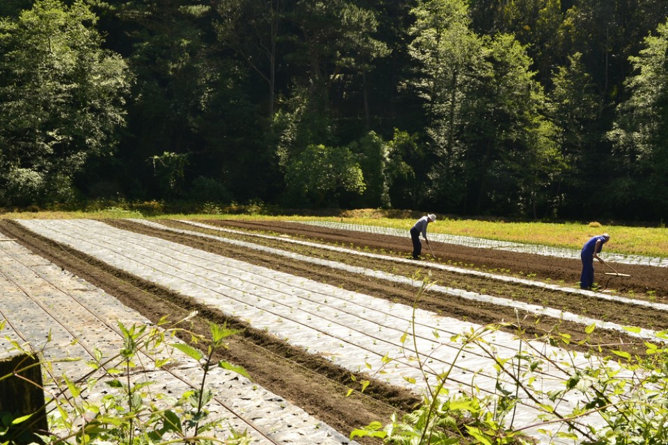 Gorostiza. Argazkia: Gonzalo Elorza
