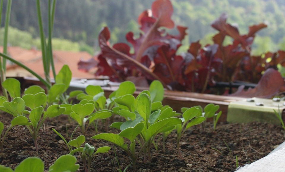 Gordexola. Argazkia: Juan Encinillas