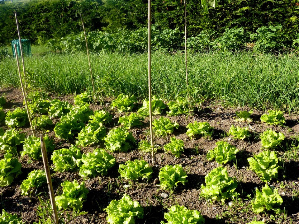 Laukiz. Argazkia: Marian Angoitia