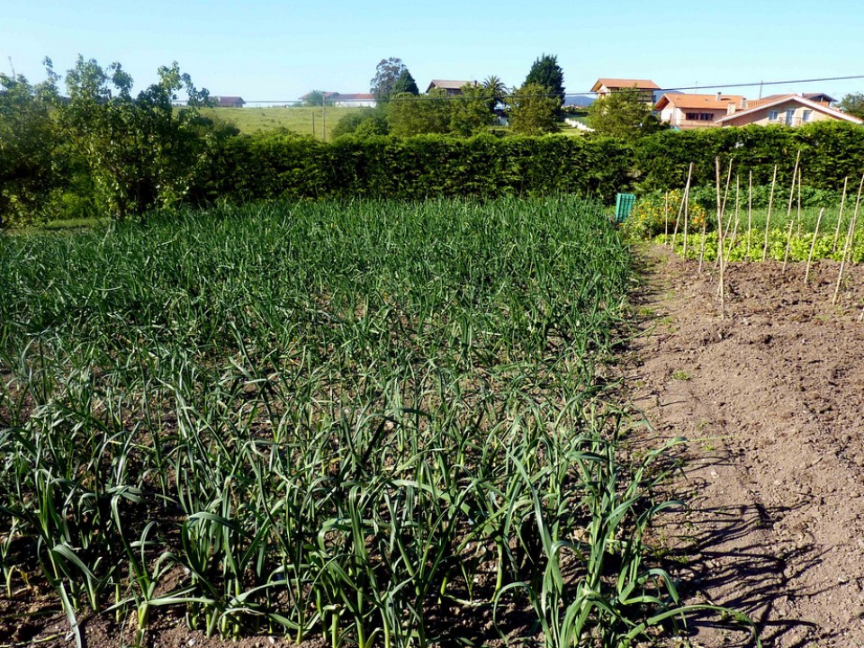 Laukiz. Argazkia: Mila Egiguren