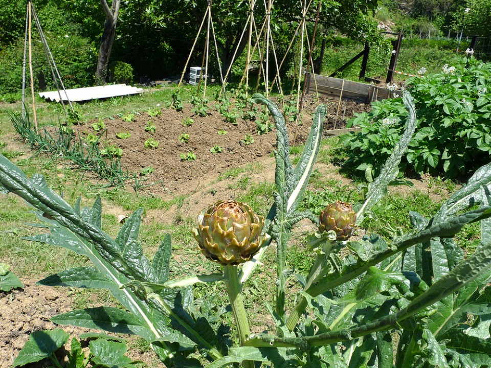 Sopelana. Argazkia: Juan Antonio Garcia