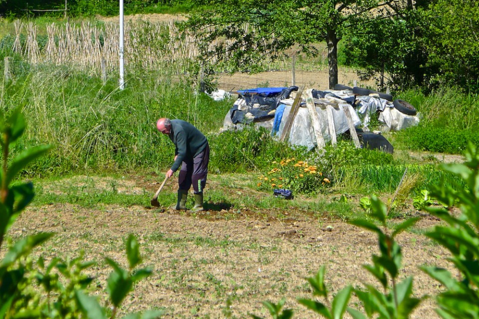 Zarautz. Argazkia: Lorentxo Portularrume
