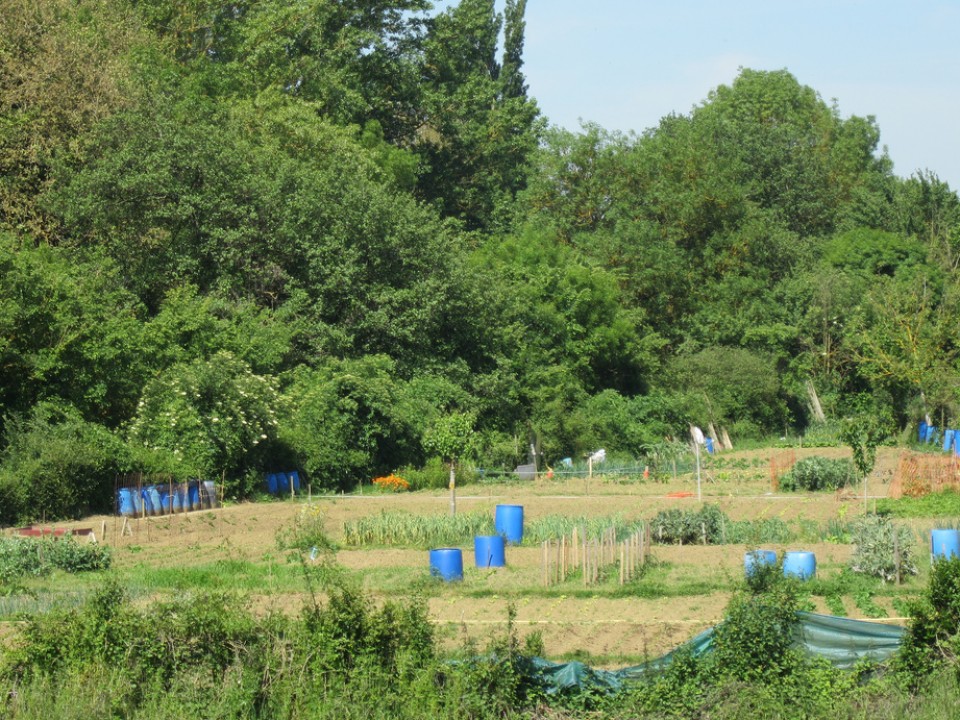 Gamarra: Argazkia: Jose Maria Alonso