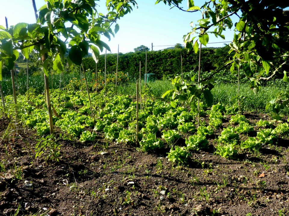 Durango. Argazkia: Mila Egiguren