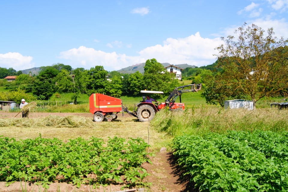 Elizondo. Argazkia: Bego Arizmendi