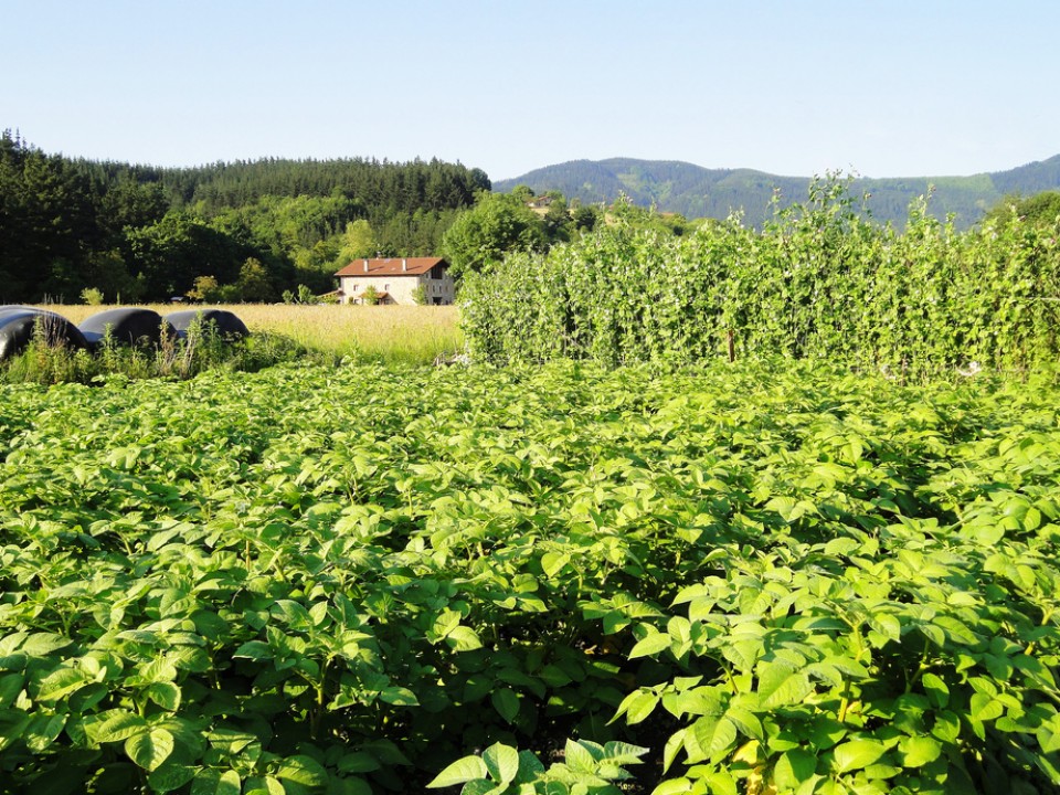 Elorrio. Argazkia: Julia Llamas