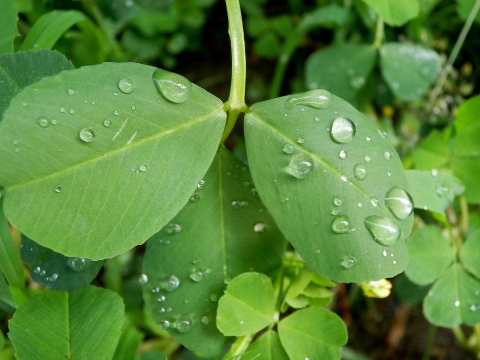 Argazkia: Conchi Rodríguez