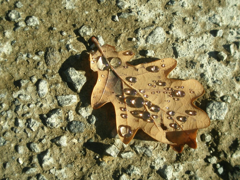 Argazkia: Arantza San Pedro