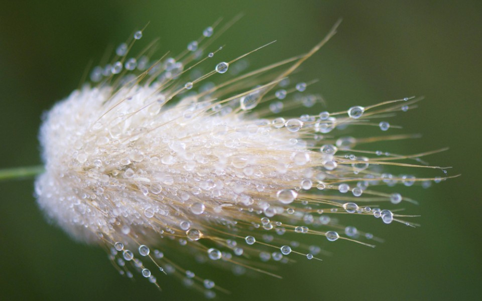 Lorentxo Portularrume