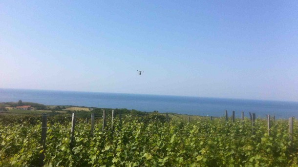 Egiategia, le domaine viticole de la Corniche basque. Photo: Manex Barace