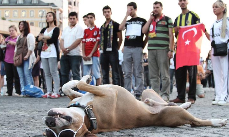 Manifestazio isila Istanbuleko Taksim plazan. Argazkia: EFE.