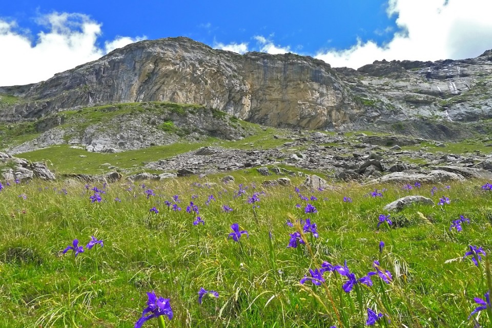 Pirinioetako argazkiak erronkarako