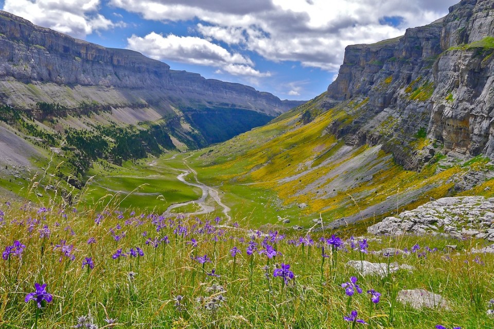 Pirinioetako argazkiak erronkarako