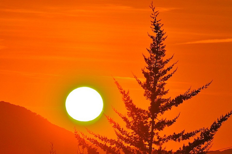 Pirinioetako argazkiak erronkarako