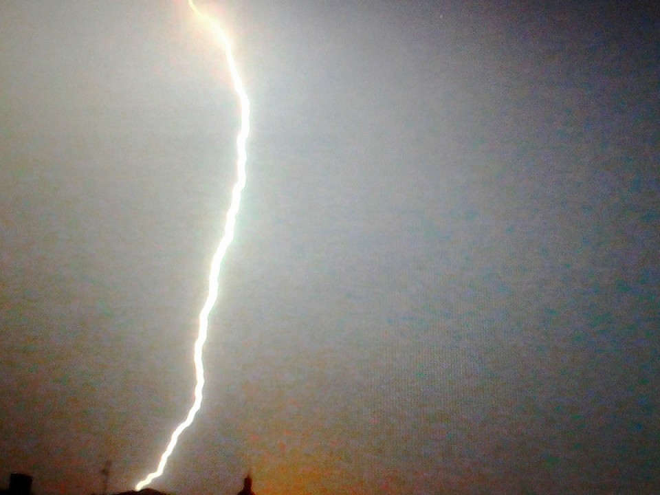 Tximisten argazkiak erronkarako