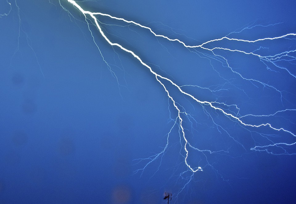 Tximisten argazkiak erronkarako