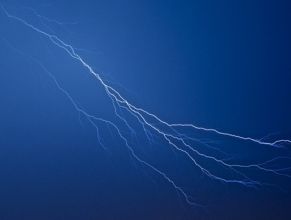 Tximisten argazkiak erronkarako