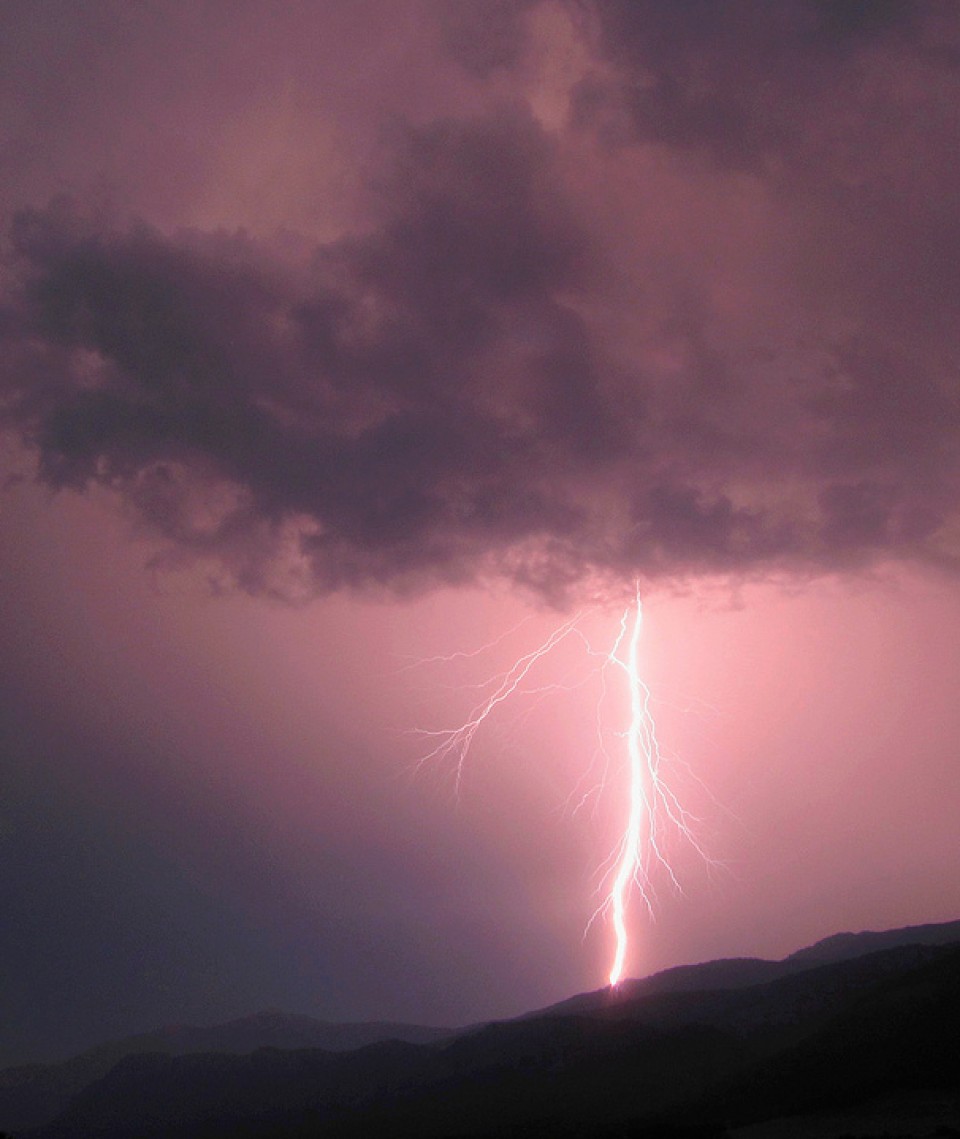 Tximisten argazkiak erronkarako