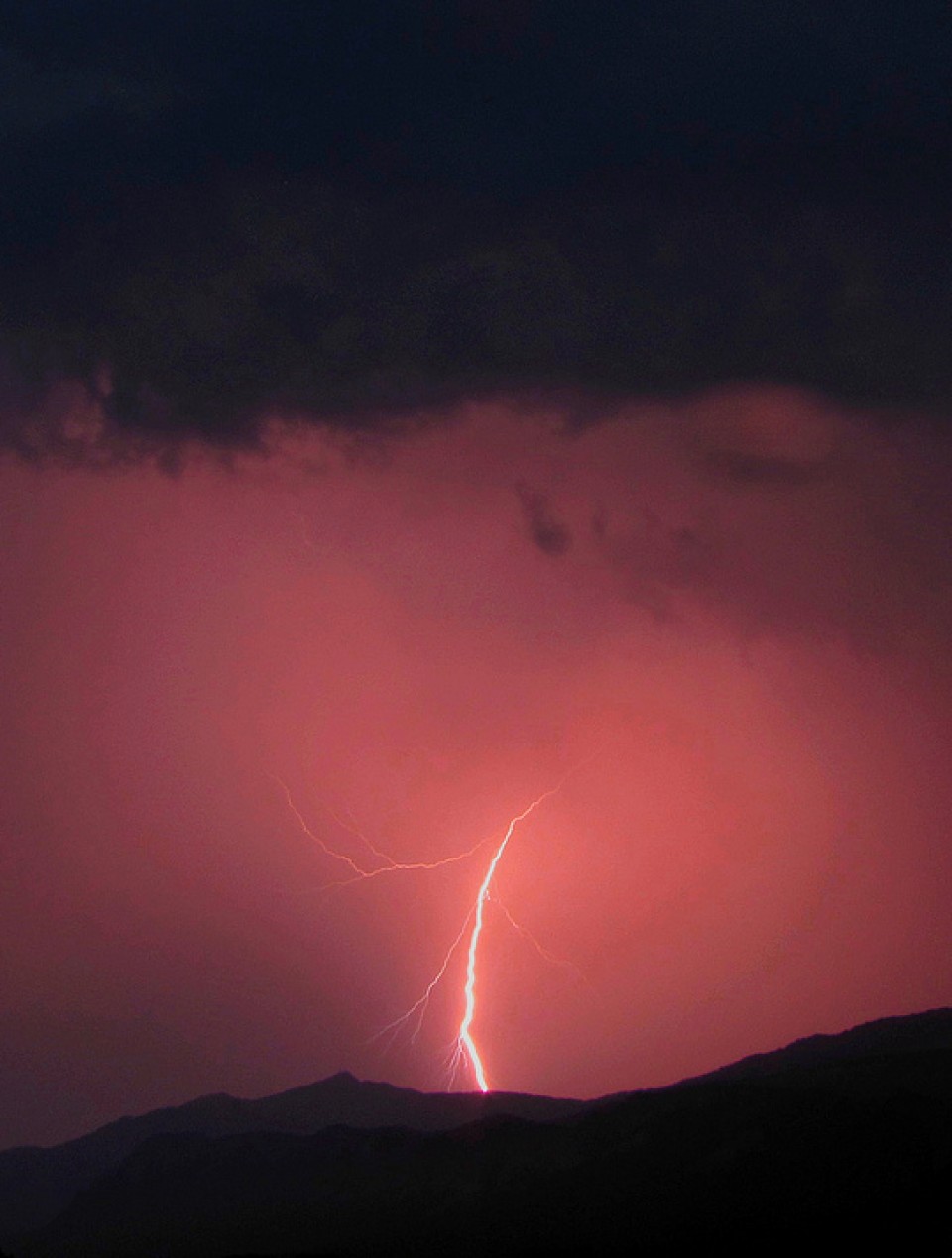 Tximisten argazkiak erronkarako