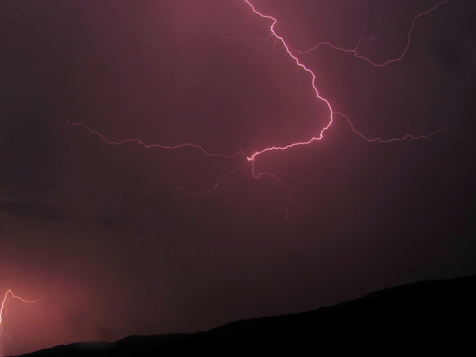 Tximisten argazkiak erronkarako