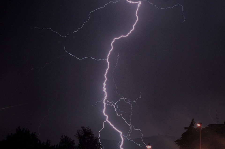 Tximisten argazkiak erronkarako