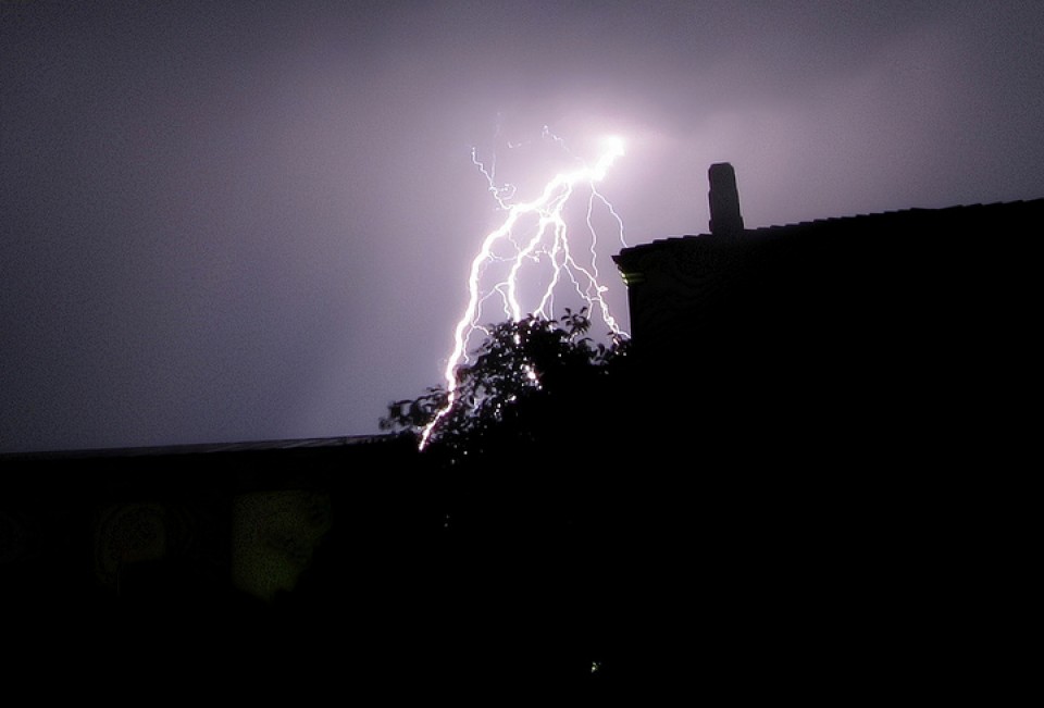 Tximisten argazkiak erronkarako