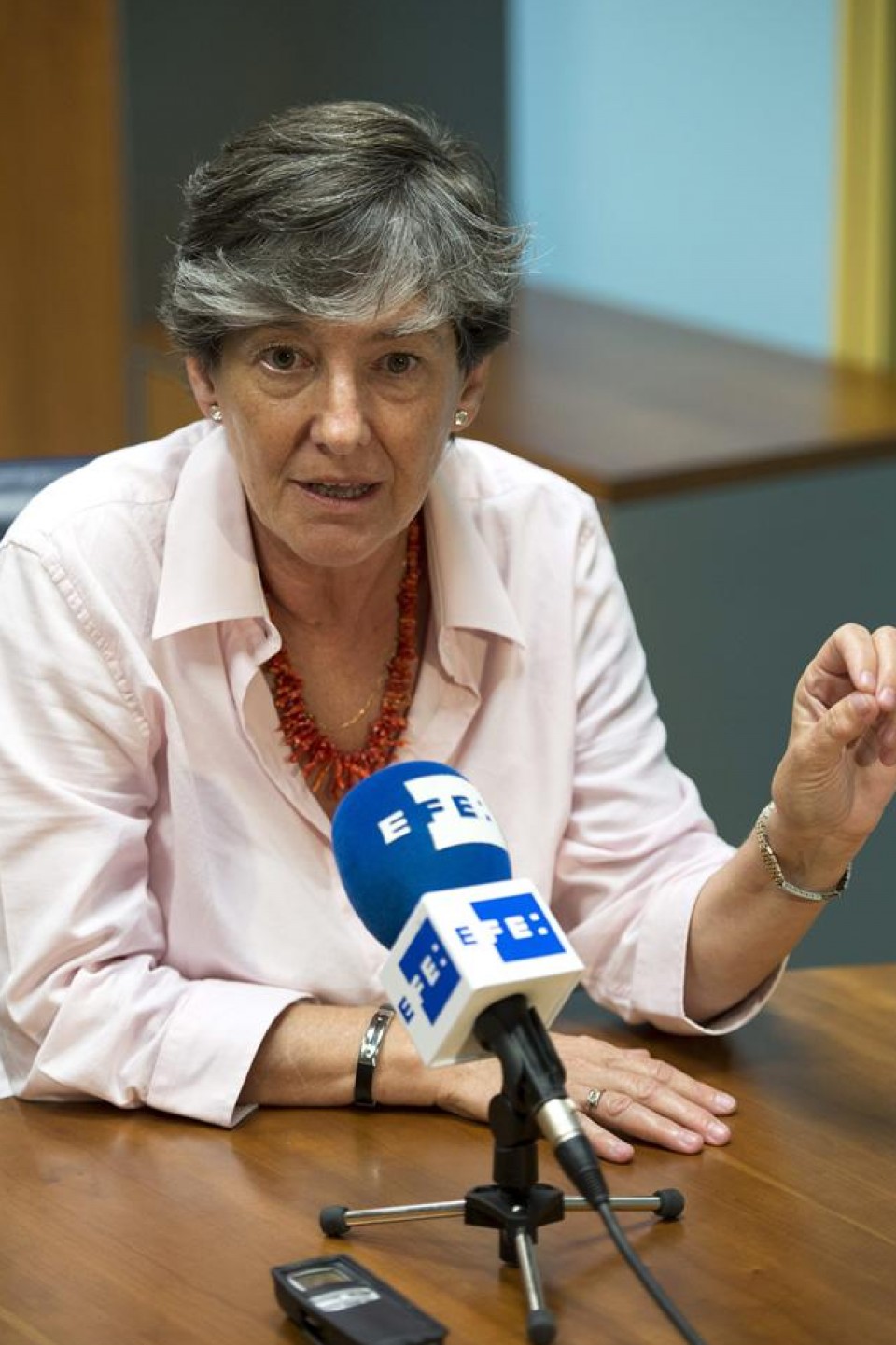 La portavoz de parlamentaria de EH Bildu, Laura Mintegi. Foto: EFE