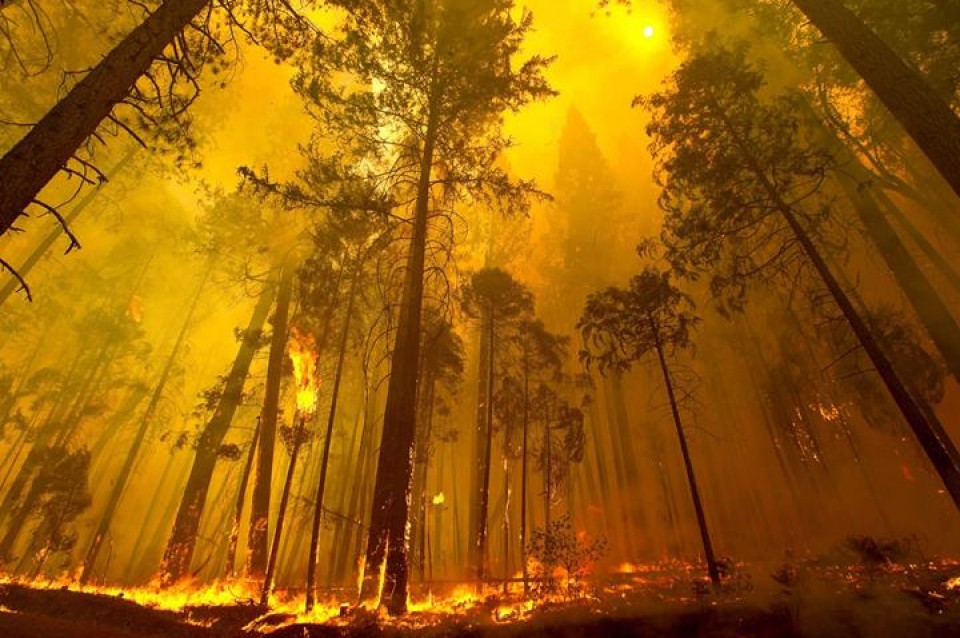 Sutea YOsemiten, Kalifornia