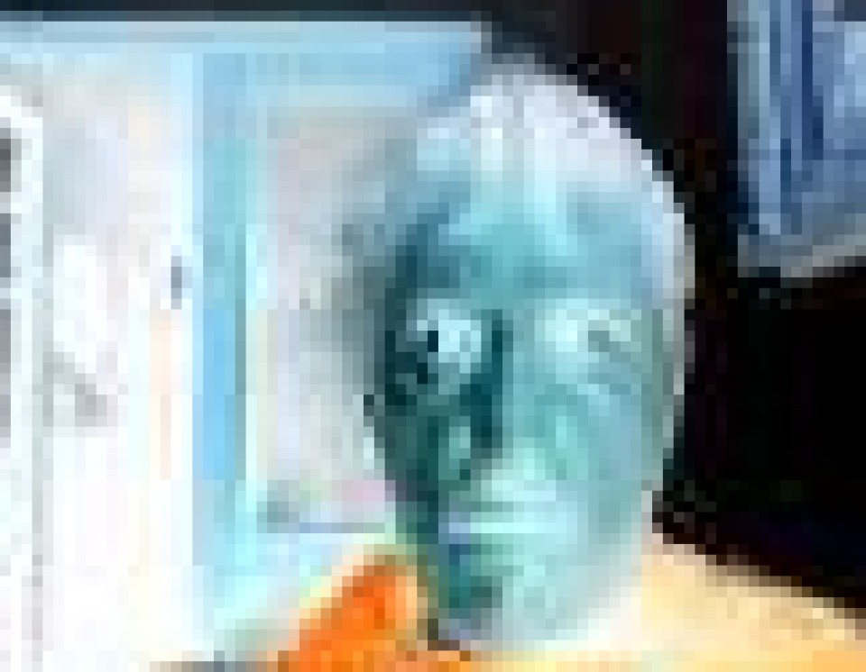 Dida Fresh lehiaketa: Itsusiak