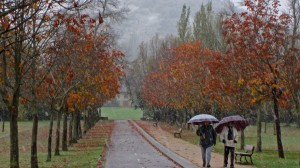 ¡El invierno ya está aquí!