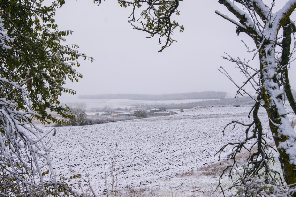 Iruraiz-Gauna. Aitor Ibargutxi