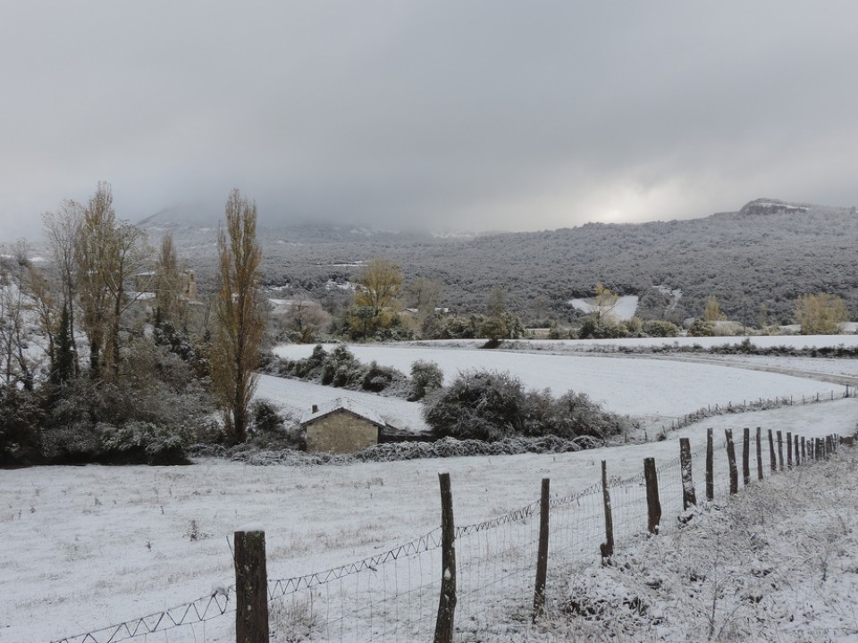 Domemillaga. Ana Díaz de Garayo. 